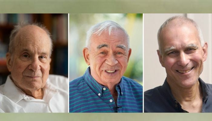 Trio wins chemistry Nobel for new form of molecular architecture