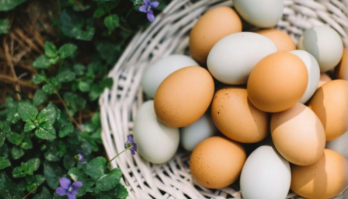 The right way to store your eggs