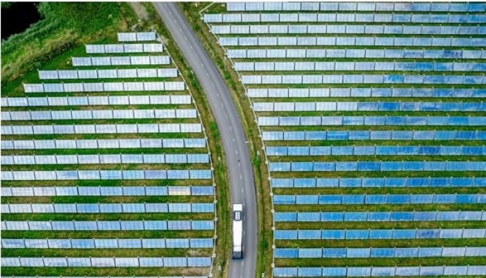 Global renewable energy generation surpasses coal for first time