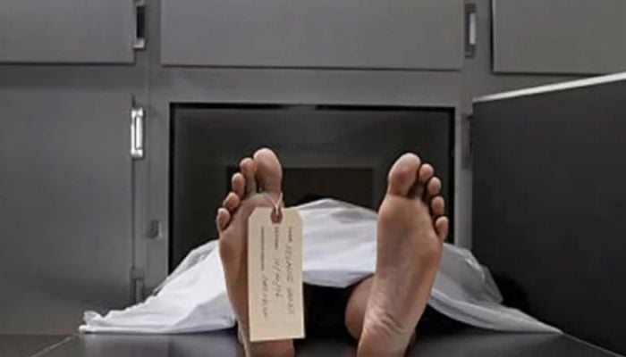 Bodies of two students recovered from Bhairab River in Meherpur