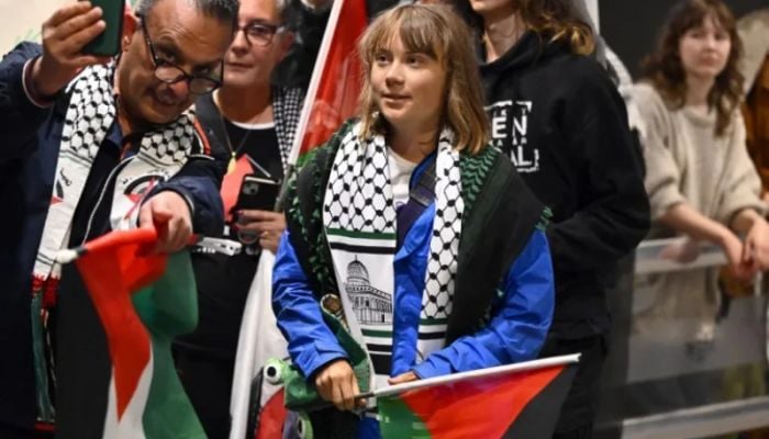 Greta Thunberg mistreated by Israeli forces in detention, activists say
