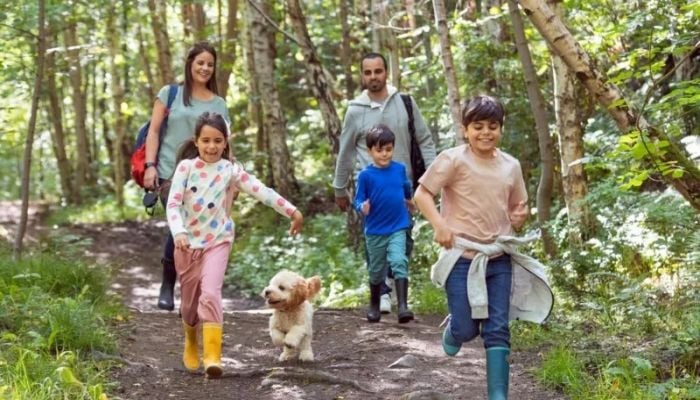 How 20 minutes of nature can boost your health
