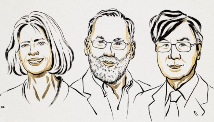 Nobel in Medicine awarded for 'discoveries on peripheral immune tolerance'
