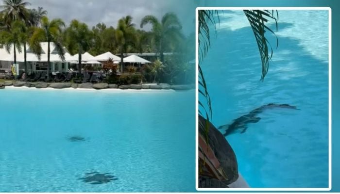 Crocodile lurks in Australian luxury hotel pool