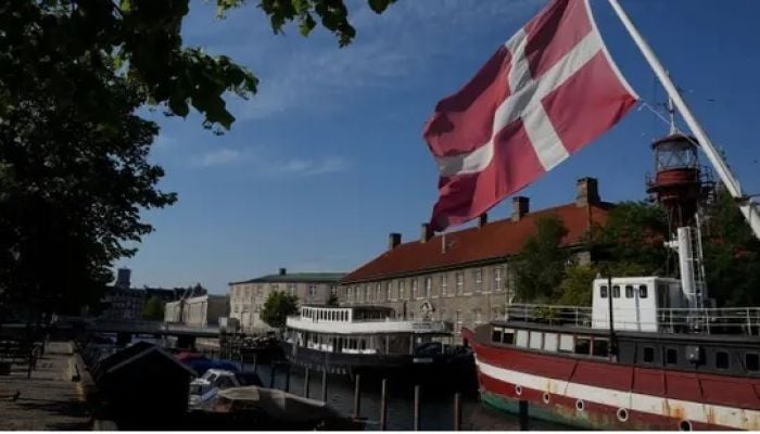 Cyberattack hits Danish govt, defence websites