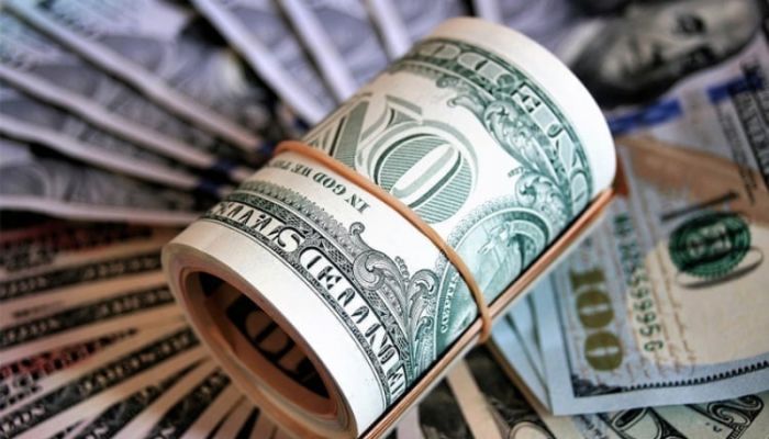 27.9% growth of remittance inflow till Nov 24