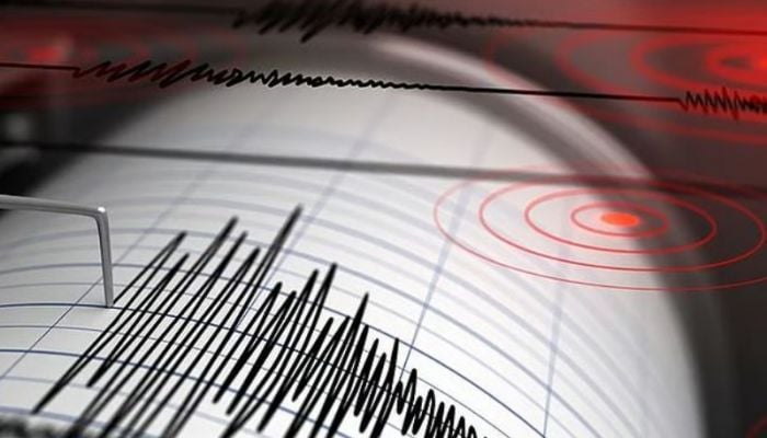 Minor earthquake hits western Saudi Arabia