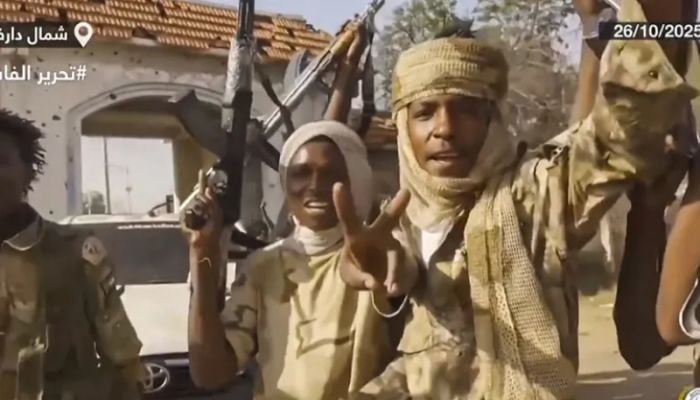RSF digging mass graves in Sudan’s el-Fasher: Experts