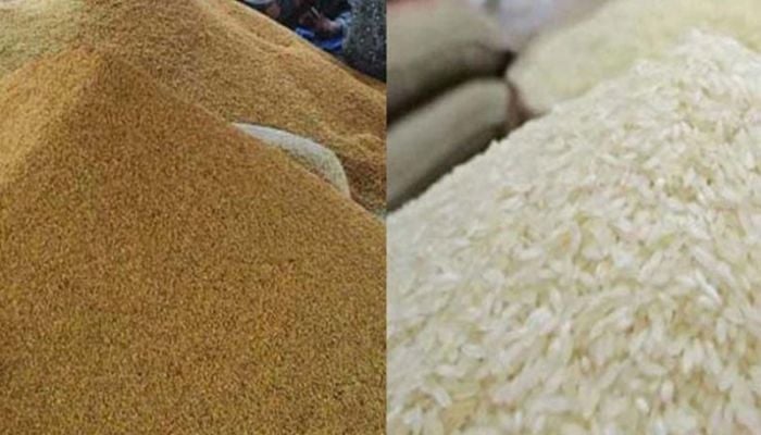 Govt to procure 50,000 tonnes of non-basmati boiled rice