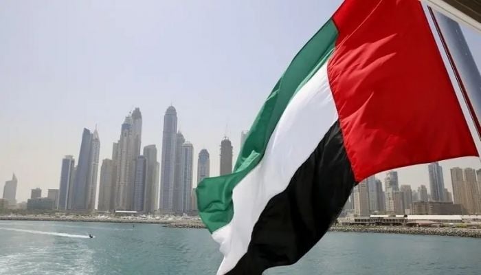 UAE not issuing visas to Pakistanis, interior ministry official tells Senate body
