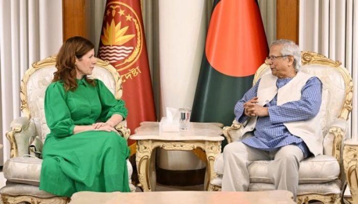 CA reaffirms govt’s commitment to ensuring fair, inclusive polls to UK minister