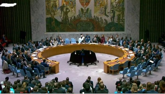 Trump's plan for Gaza backed by UN Security Council