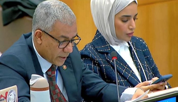 UNGA adopts resolution seeking return of Rohingyas to Myanmar