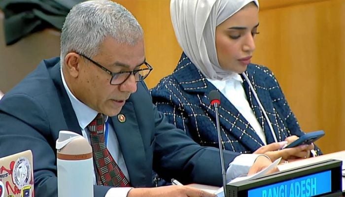 UNGA adopts resolution seeking return of Rohingyas to Myanmar