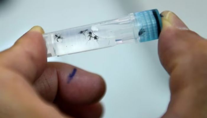 Brazil approves world's first single-dose dengue vaccine
