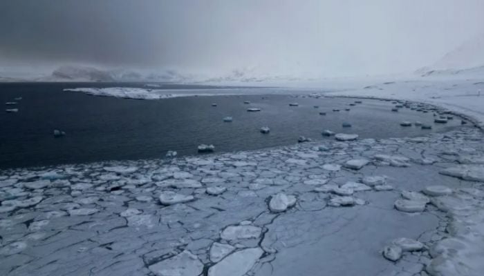 Arctic sees hottest year since 1900 as climate crisis continues