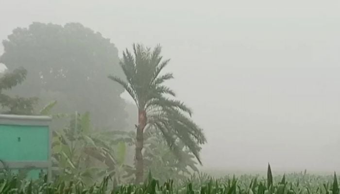 Chuadanga records season’s lowest temperature at 8°C