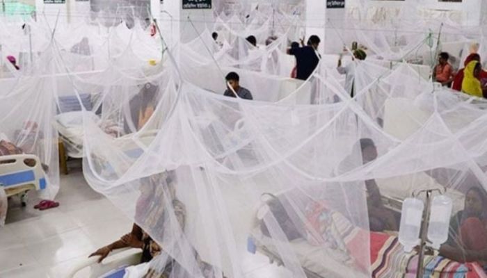 114 fresh dengue cases detected overnight