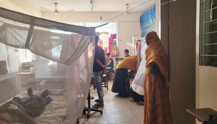 172 fresh dengue cases detected overnight