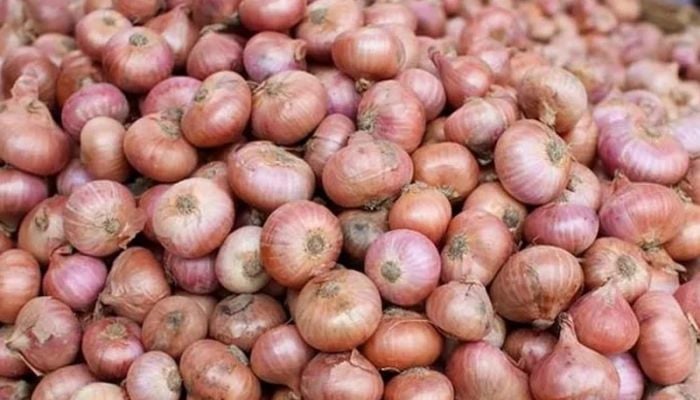Govt allows limited onion imports from Dec 7 to stabilize market