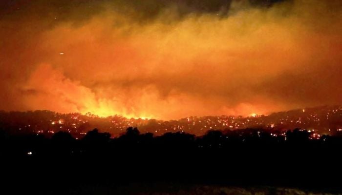 Australia declares state of disaster as bushfires rage