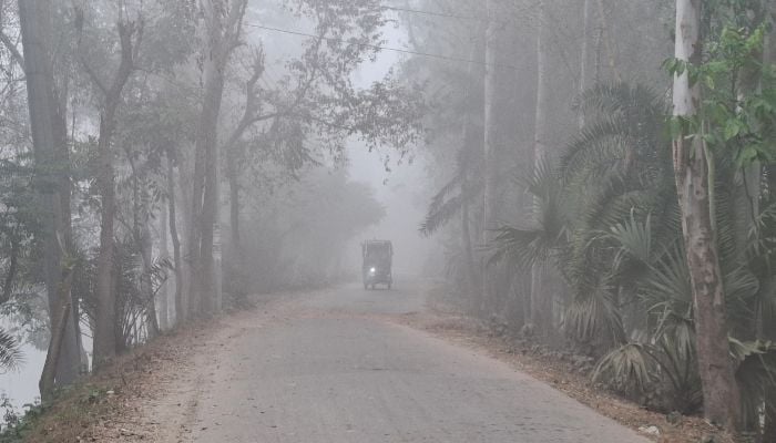 Cold wave in 17 districts, dense fog likely