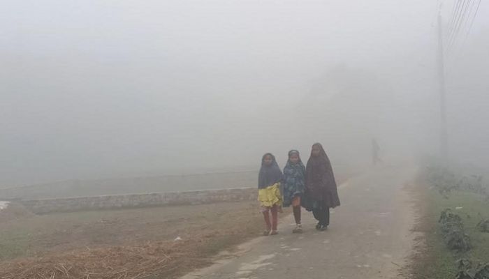 Mercury dips to 8 degree Celsius in Jashore