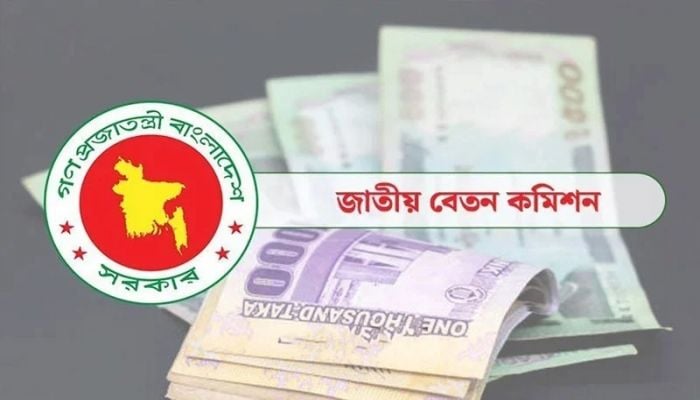 Interim Govt not implementing new pay scale: Energy Adviser