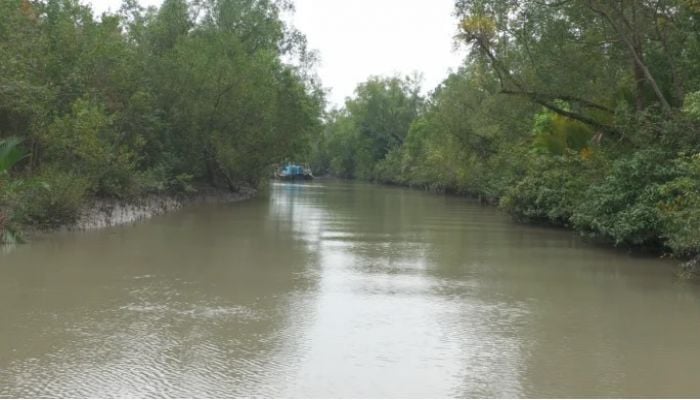 3 kidnapped tourists rescued in Sundarbans