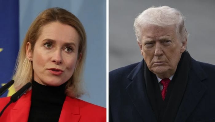 Trump says he will '100%' carry out Greenland tariffs threat