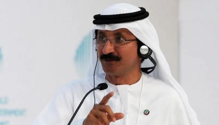 Head of Dubai-based ports giant quits after Epstein links revealed