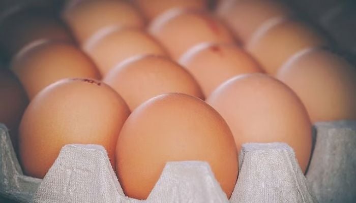 Saudi Arabia bans poultry and egg imports from 40 countries, including Bangladesh