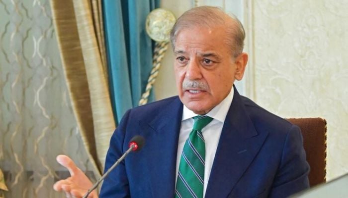 Pakistan to play India in T20 World Cup: PM Shehbaz Sharif