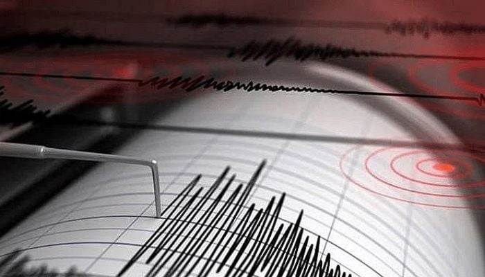 Light tremor jolts country
