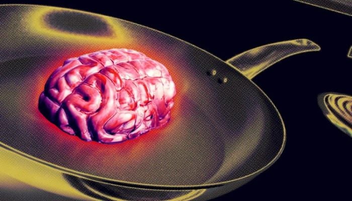 Life with AI causing human brain 'fry'