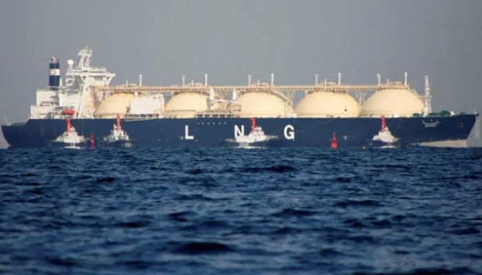 Govt to import 3 more cargoes LNG