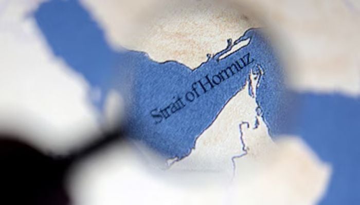 Joint statement on Strait of Hormuz by European nations, Japan, Canada