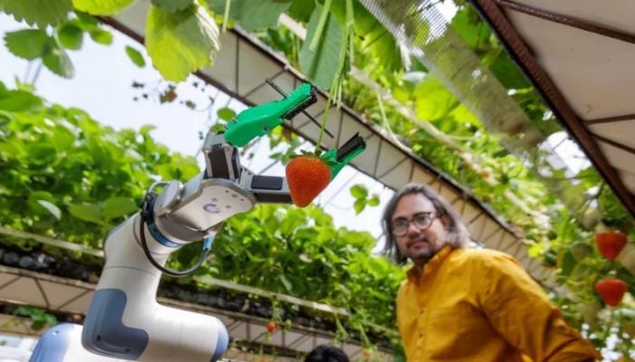 Fruit-picking robot wins national award