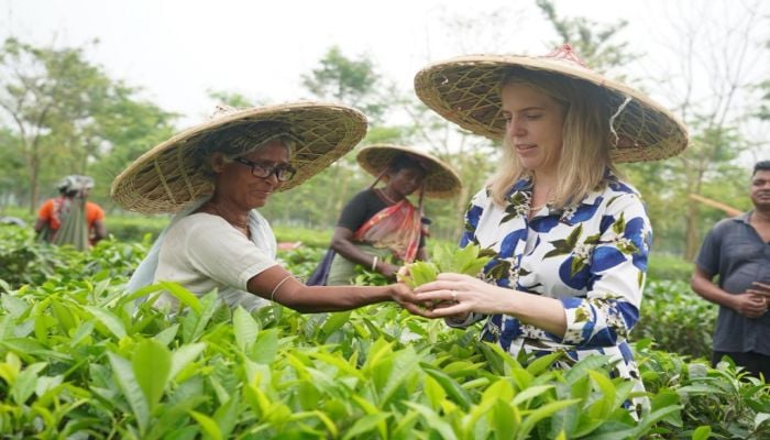 Orbis CEO urges eye care service expansion for tea garden workers