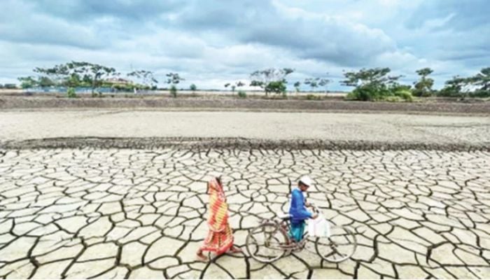 Expectations from the government to combat climate change