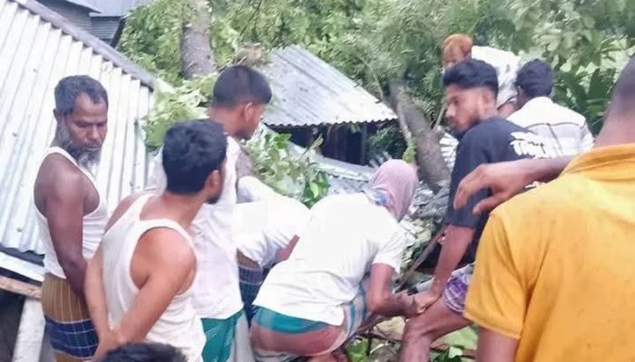 Mother, two daughters crushed to death by falling tree in Jamalpur  Kalbaishakhi storm