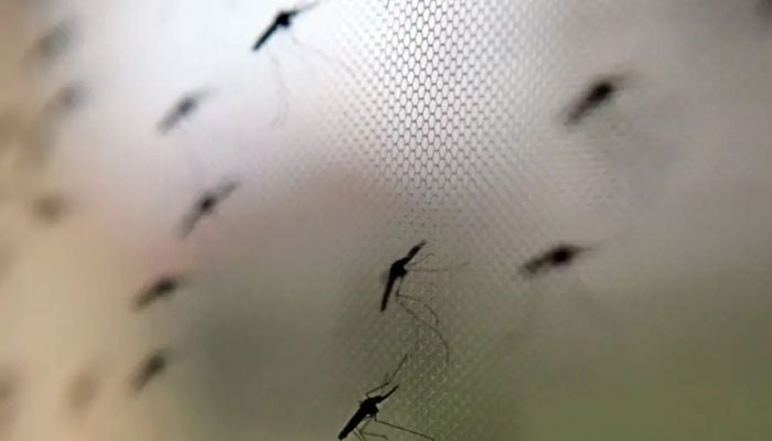 WHO approves first Malaria drug for babies