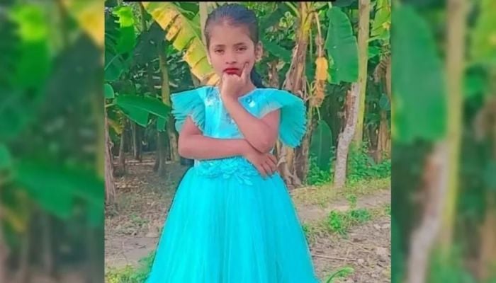 Body of missing child recovered in Manikganj, 2 brothers beaten to death 