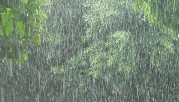 Heavy to very heavy rainfall likely in 4 divisions