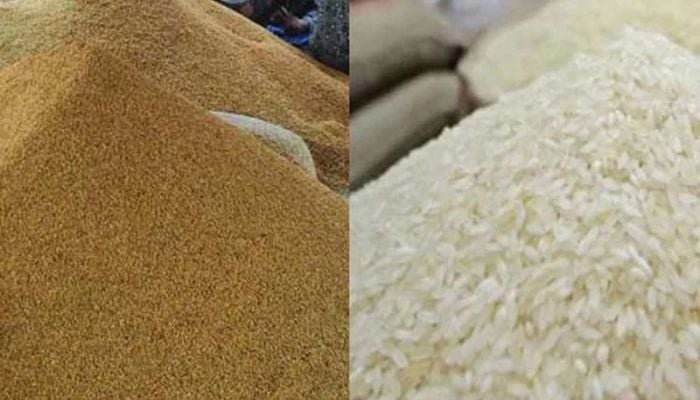 Govt to launch nationwide paddy, rice, wheat procurement drive on May 3