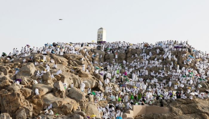 Pilgrims pray on Mount Arafat as hajj reaches peak