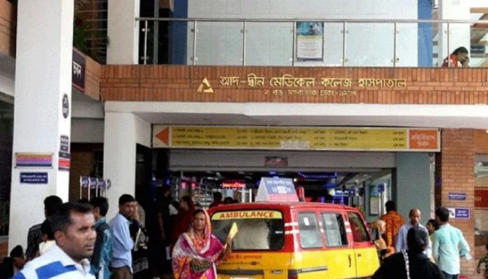 6 newborns die in suspected gas leak at Ad-Din Hospital