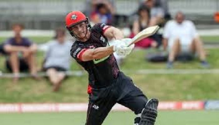 New Zealand level T20 series
