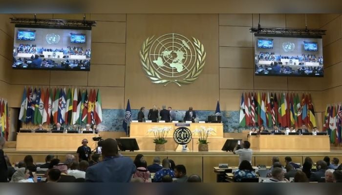 Bangladesh elected ILC vice-president in global recognition