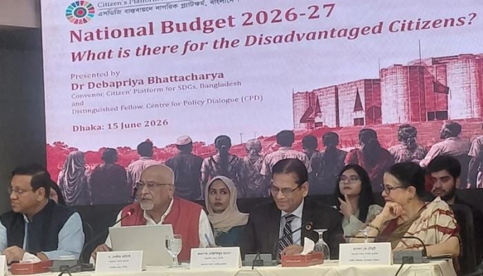 Lower-middle class faces three-pronged pressure: Debapriya Bhattacharya